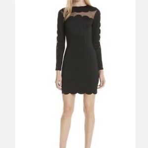Ted Baker Joyous bodycon dress size 3 NWT